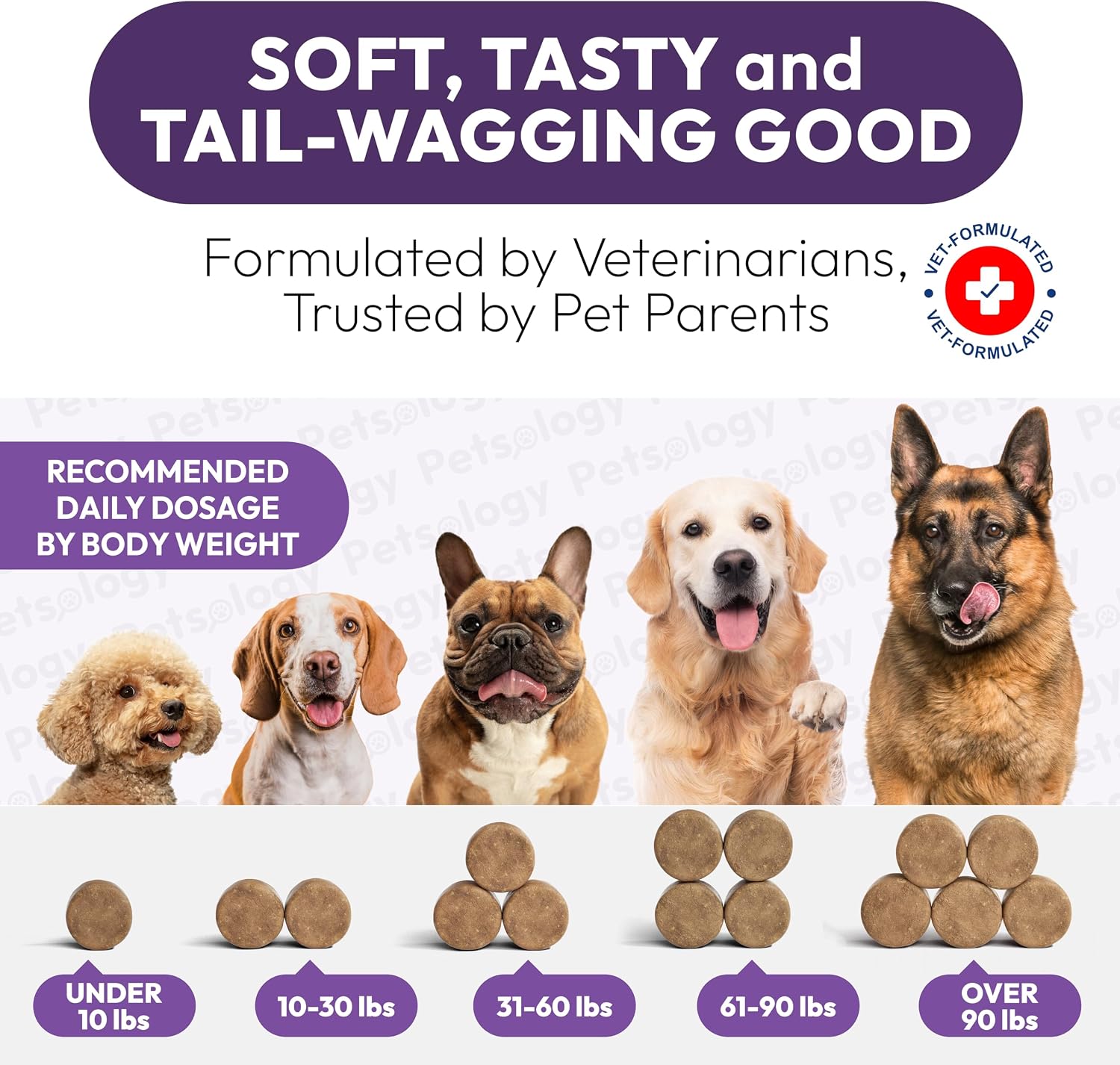 Petsology Multivitamínico Masticable para Perros - 170 Comprimidos - con Glucosamina y Condroitina