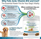 Folate para perros para promover la salud cardiovascular y prenatal, apoyar la síntesis de ADN y el mantenimiento celular, ácido fólico para perros con zinc, biotina, hierro y vitamina B12, 120 masticables blandos
