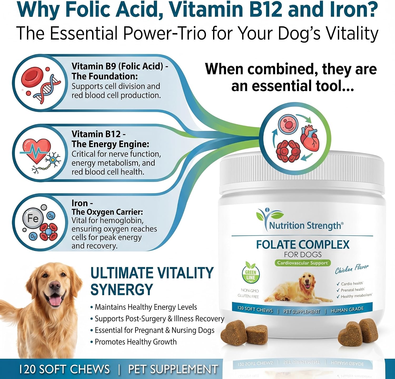 Folate para perros para promover la salud cardiovascular y prenatal, apoyar la síntesis de ADN y el mantenimiento celular, ácido fólico para perros con zinc, biotina, hierro y vitamina B12, 120 masticables blandos