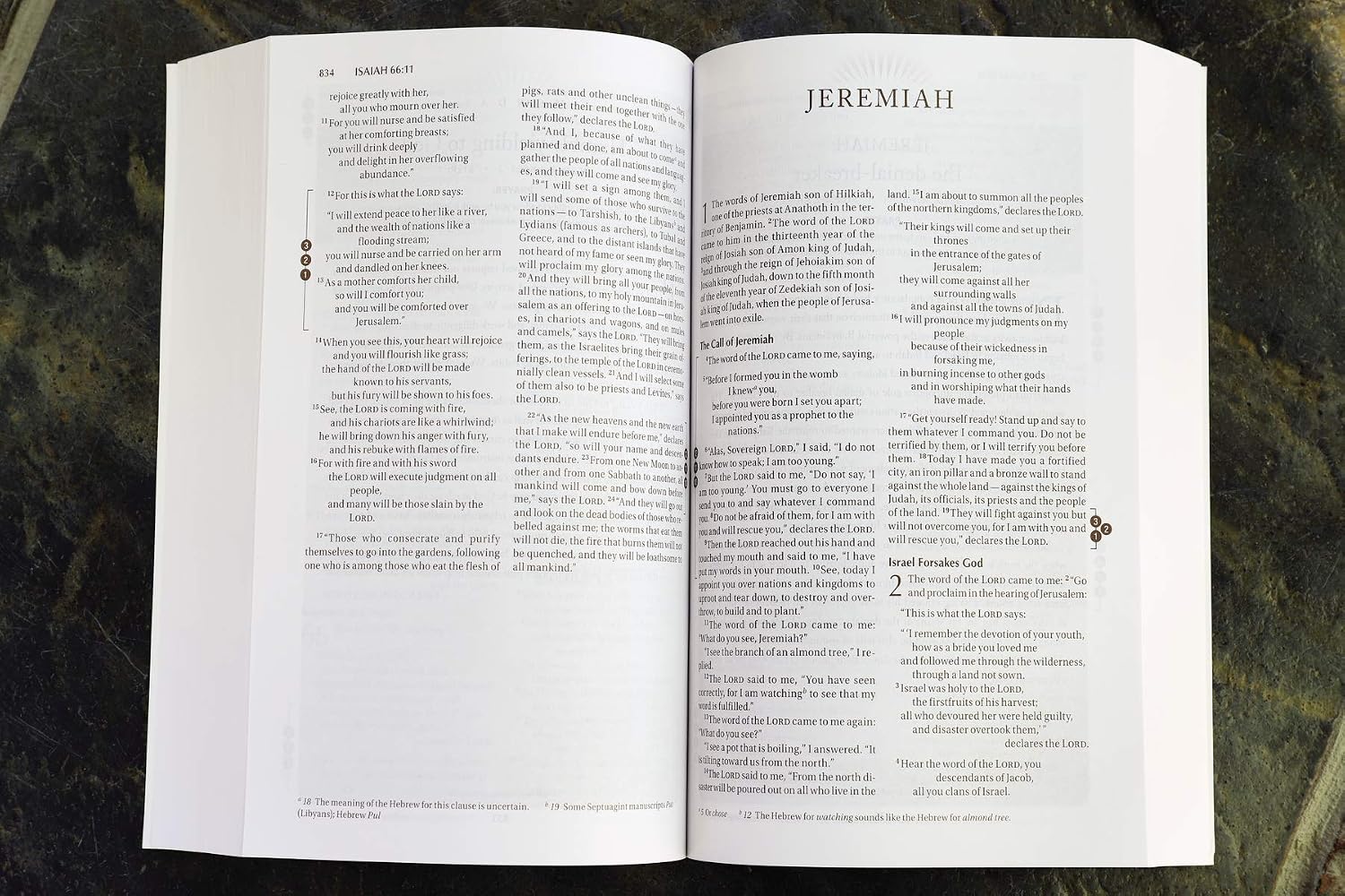 NVI, Biblia devocional para la recuperación, Rústica