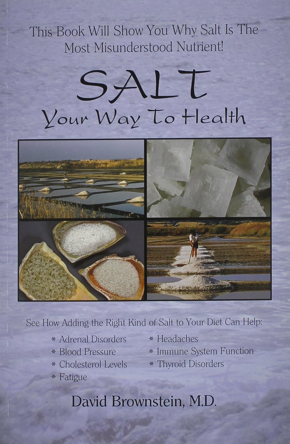 Salt Your Way to Health, 2nd Edition - David Brownstein