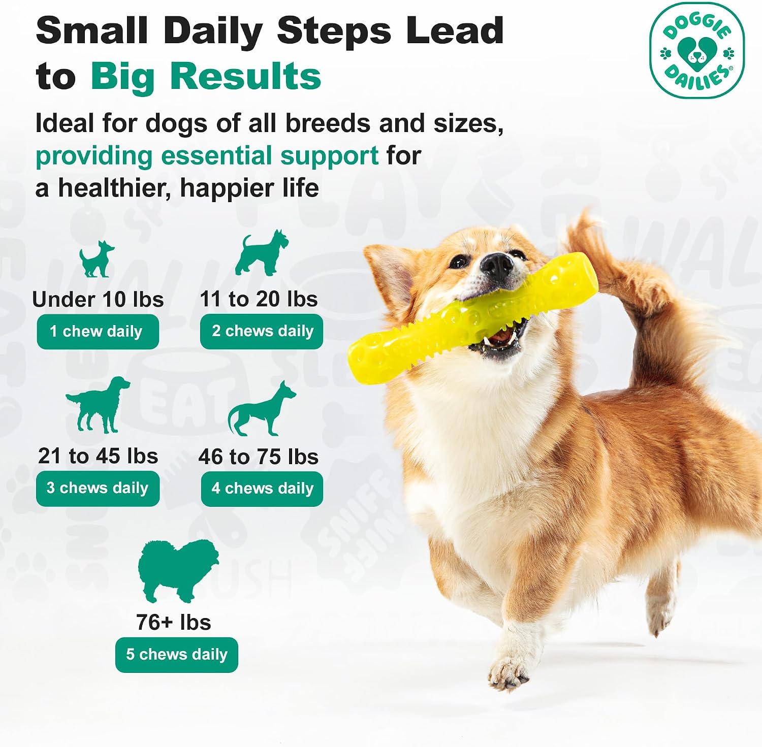 Doggie Dailies Masticables Cognitivos para Cachorros con DHA, Selenio, Ashwagandha Orgánica y Antioxidantes – 120 Masticables Blandos Sabor Mantequilla de Cacahuete