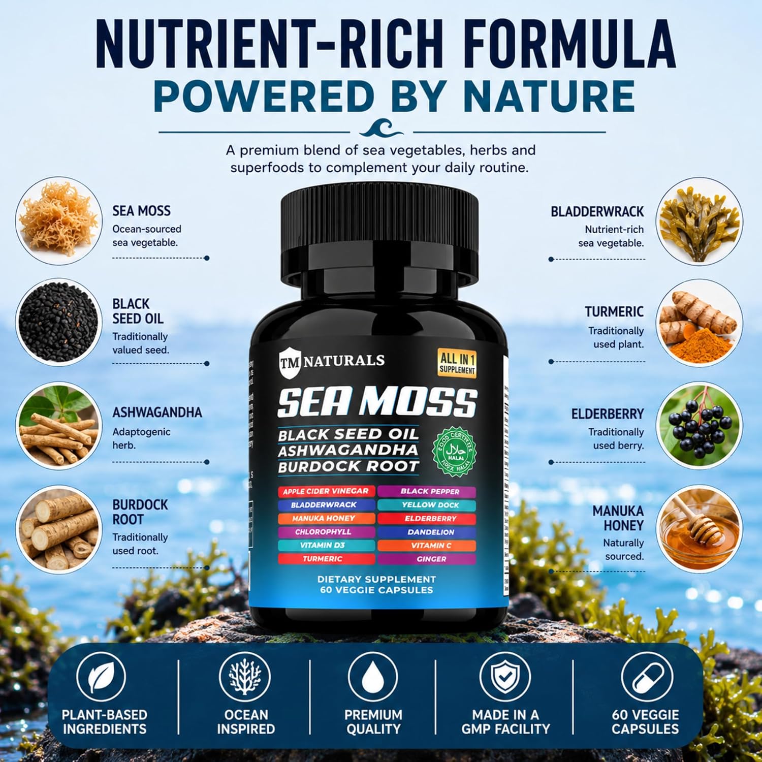 TM NATURALS - Sea Moss con Aceite de Nigella, Vitamina C, Ashwagandha y Cúrcuma, 60 Cápsulas Veganas + Pastillero Gratis