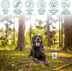 Strawfield Pets Multivitamínico Senior con Probióticos y Cardo Mariano para Perros, Sabor a Bacon, 120 Masticables Blandos