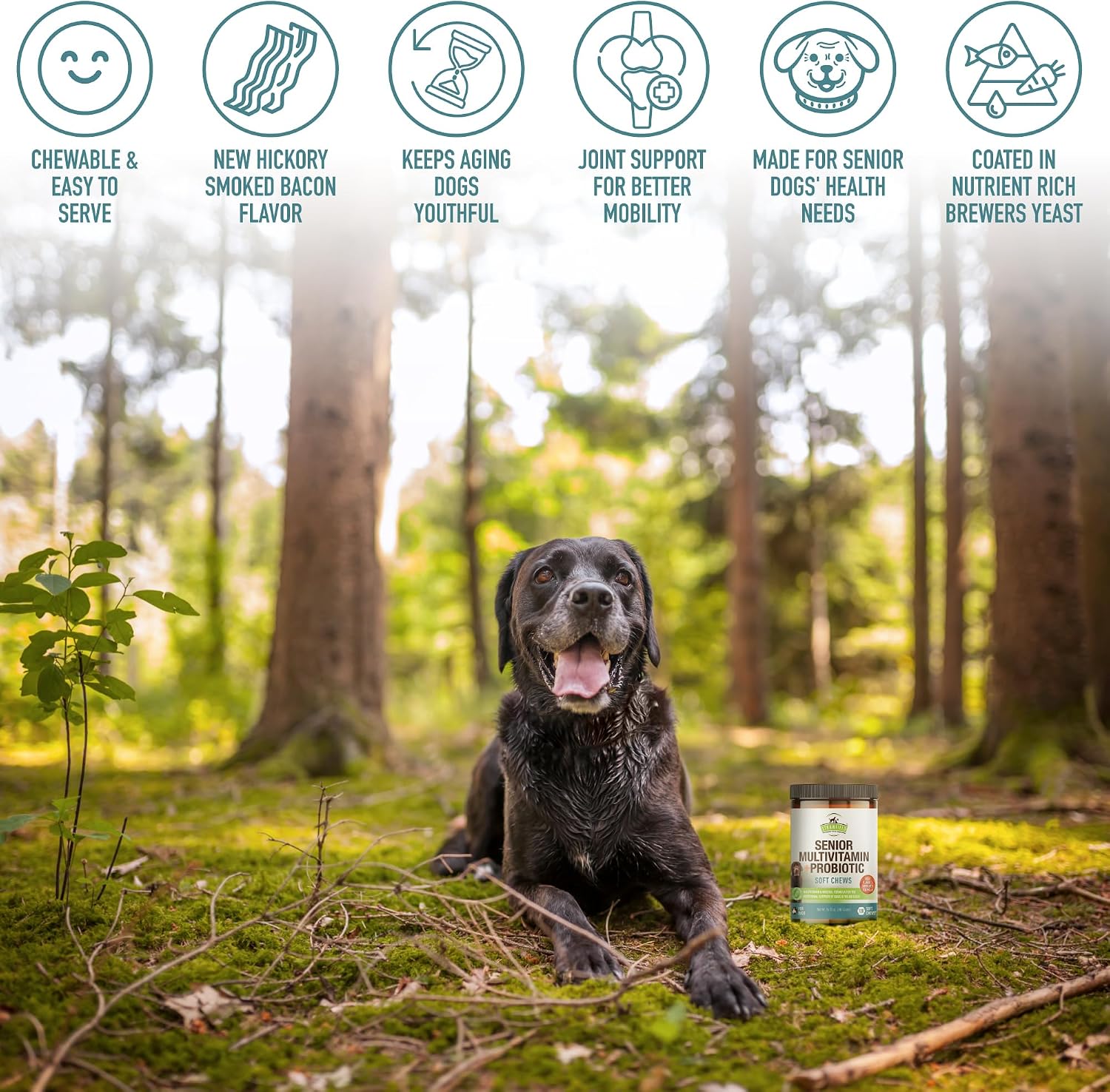 Strawfield Pets Multivitamínico Senior con Probióticos y Cardo Mariano para Perros, Sabor a Bacon, 120 Masticables Blandos