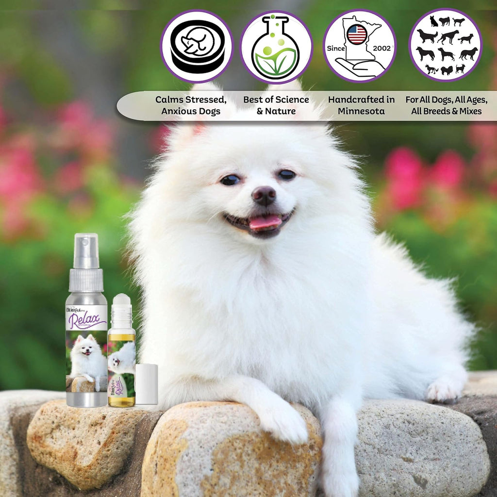 The Blissful Dog American Eskimo Relax Dog Aromatherapy Spray – Spray de aromaterapia calmante para perros con ansiedad