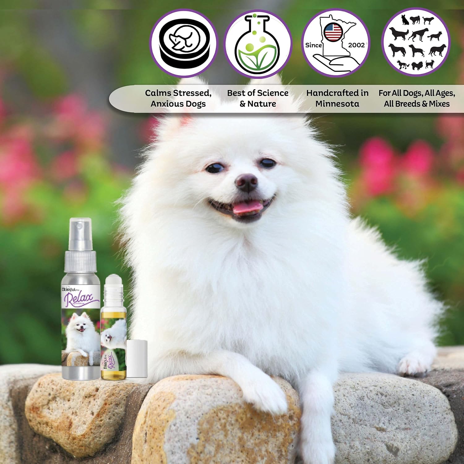 The Blissful Dog American Eskimo Relax Dog Aromatherapy Spray – Spray de aromaterapia calmante para perros con ansiedad