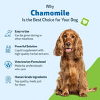 Pet Wellbeing Manzanilla para Perros - Suplemento Orgánico de Hierba Única - Apoyo Digestivo Suave y Calmante Holístico - Extracto Puro de Manzanilla - Formulado por Veterinarios, 59 ml
