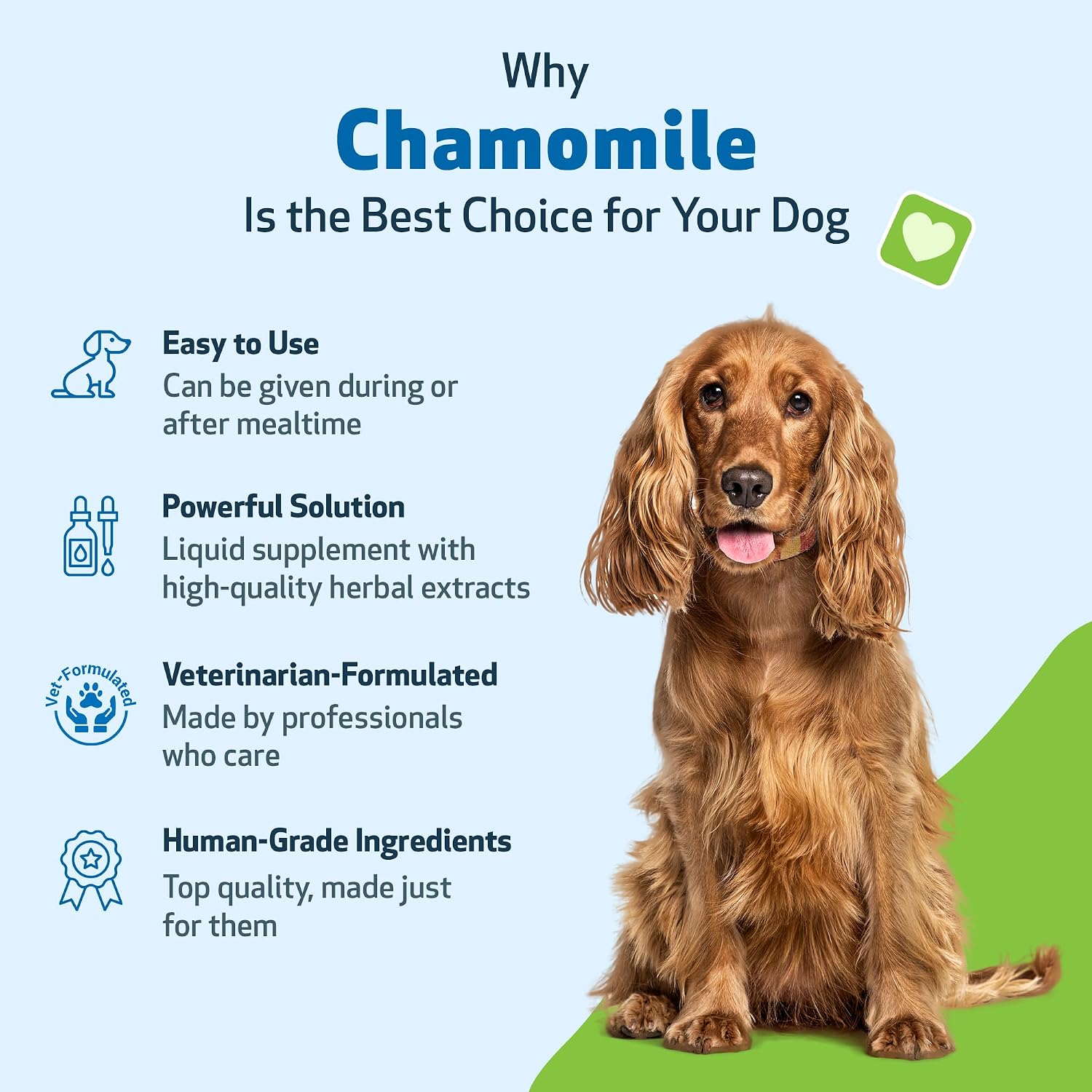 Pet Wellbeing Manzanilla para Perros - Suplemento Orgánico de Hierba Única - Apoyo Digestivo Suave y Calmante Holístico - Extracto Puro de Manzanilla - Formulado por Veterinarios, 59 ml