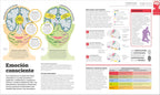 Cómo funciona el cerebro (How the Brain Works) (DK How Stuff Works)