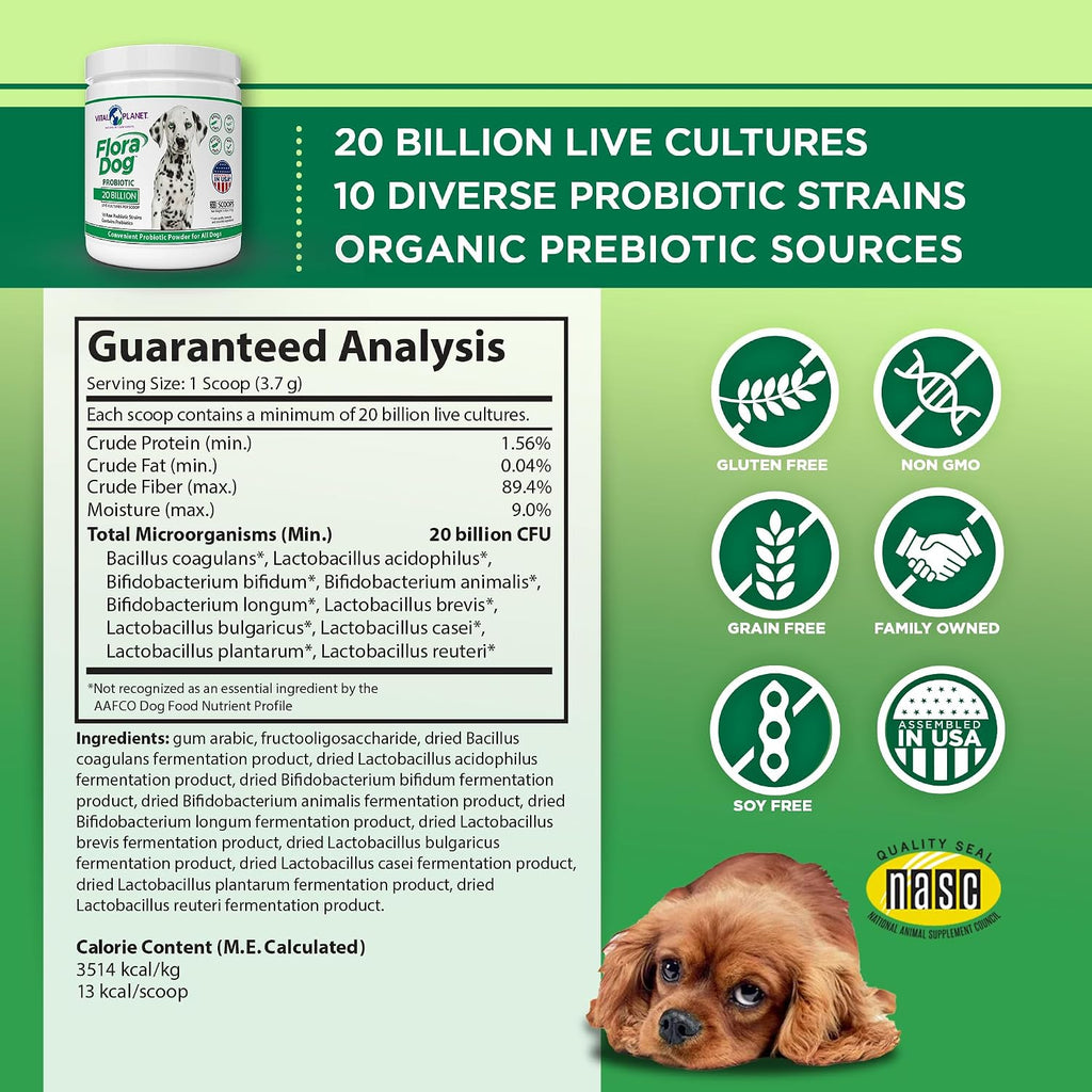 Probióticos para perros Flora Dog – Polvo con 20 mil millones de UFC y 10 cepas – Vital Planet