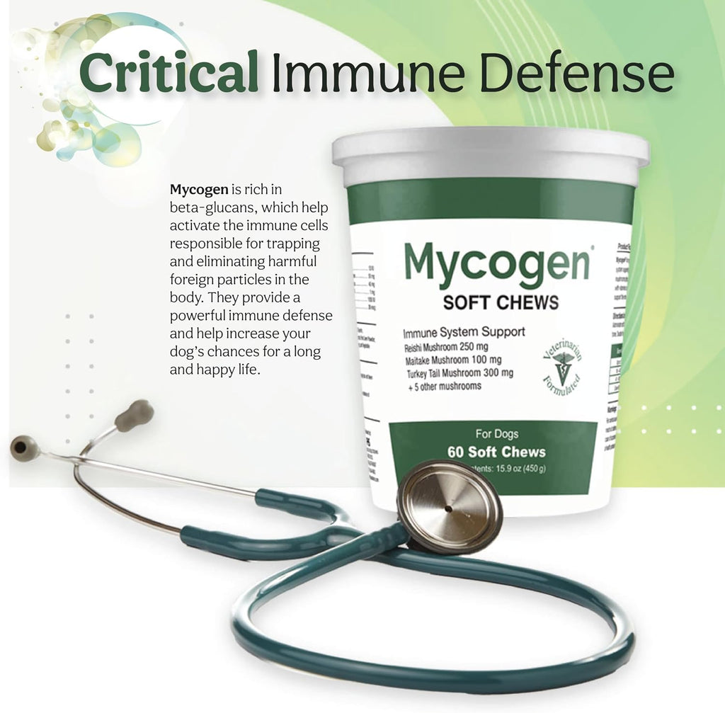 Mycogen Soft Chew para Perros - Mezcla de 8 Especies de Setas para Apoyo Inmunitario - 120 Chews Blandos