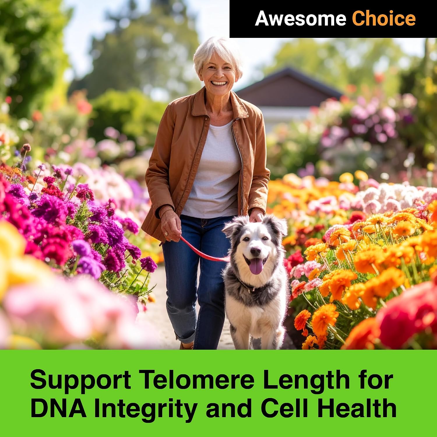 Genesis Telomere – Fórmula Celular con Telos95® y CoQ10 | 30 Cápsulas