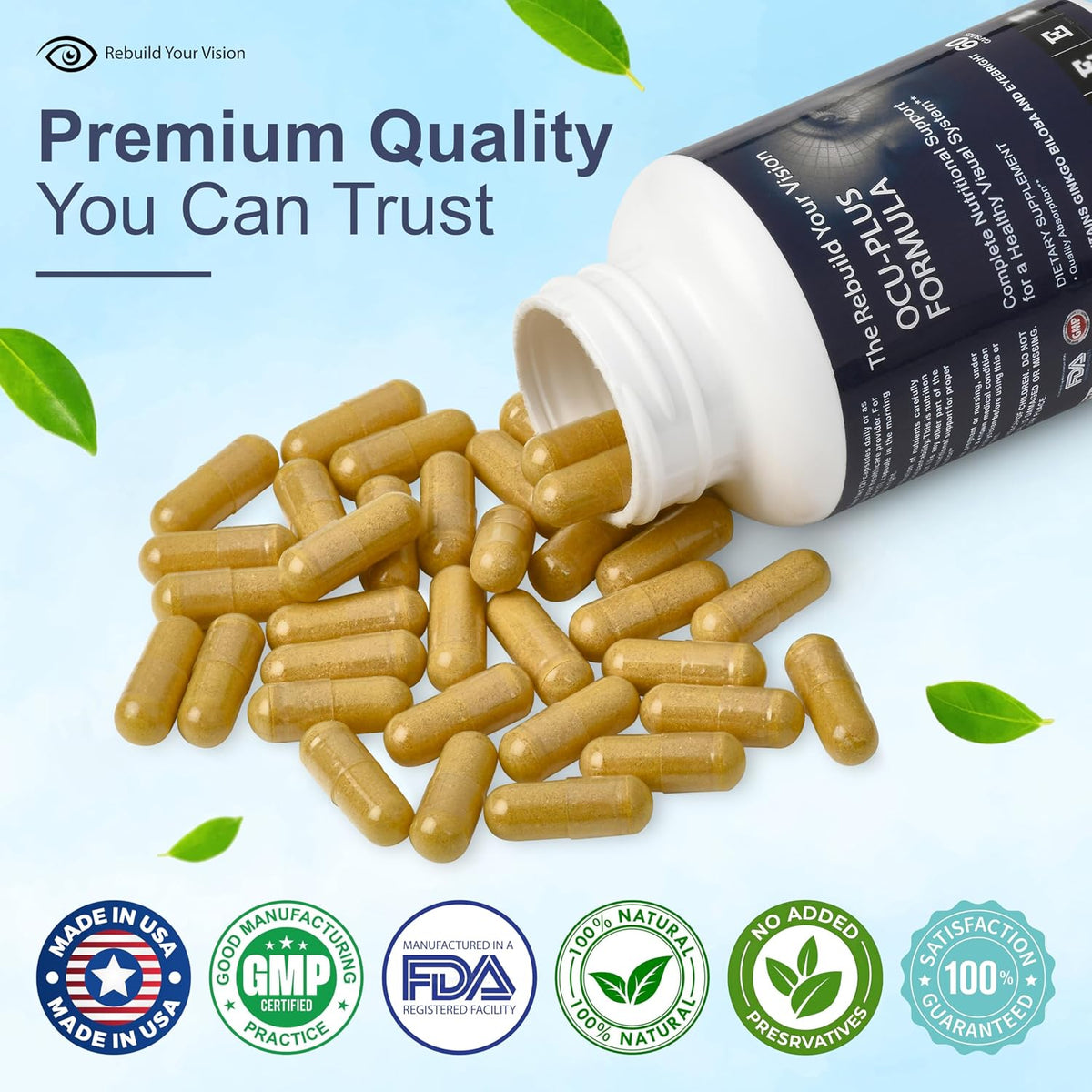 Rebuild Your Vision Ocu-Plus Formula – – NAC y ácido alfa lipoico: Antioxidantes que colaboran en la defensa – Image 8