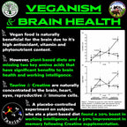Vegan's Best Friend - Multivitamínico Vegano para Hombres y Mujeres - Con Creatina, B12, D3, Colina, Zinc, Taurina - 60 Dosis