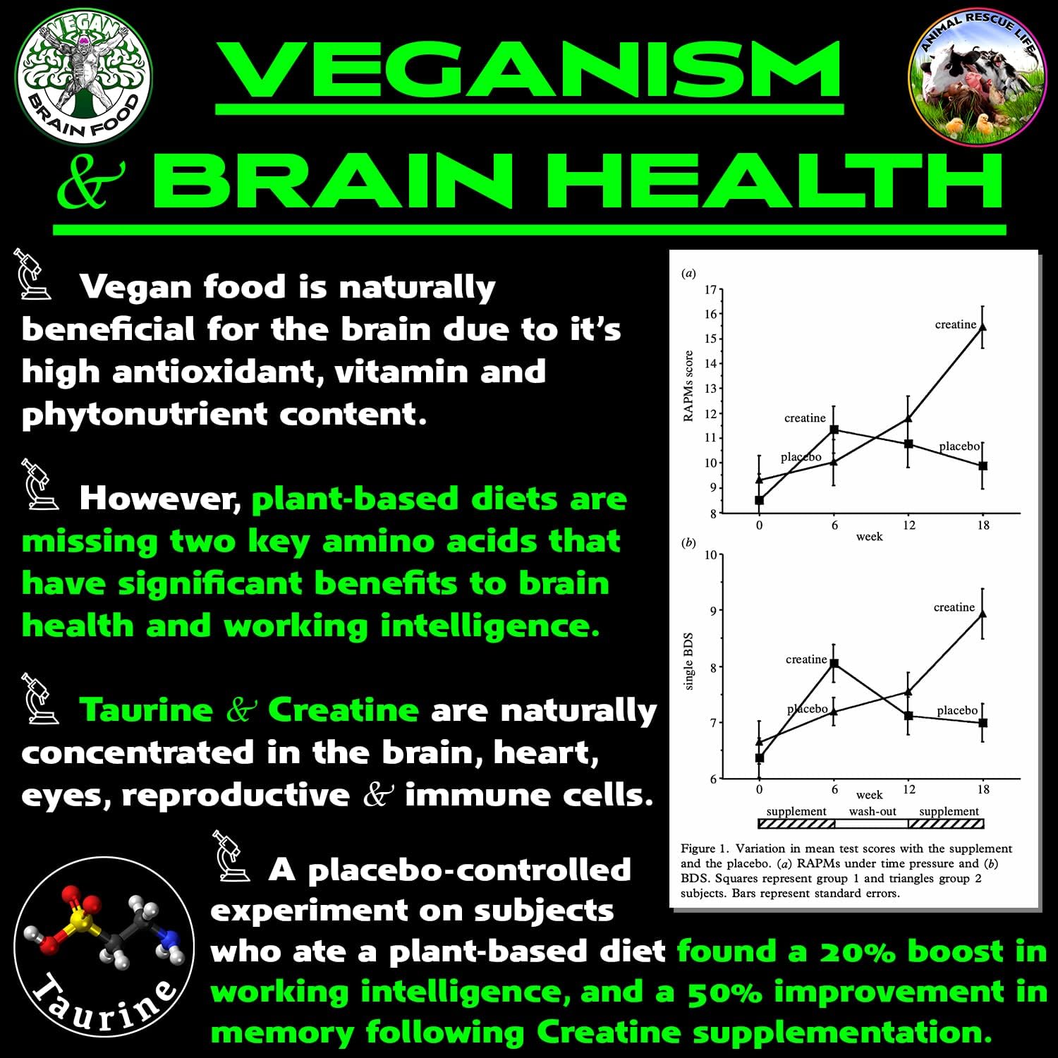 Vegan's Best Friend - Multivitamínico Vegano para Hombres y Mujeres - Con Creatina, B12, D3, Colina, Zinc, Taurina - 60 Dosis