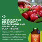 HEALTHFORCE SUPERFOODS Truly Natural Vitamin C – 400 g – Polvo de vitamina C natural con Camu Camu, Amla y Acerola