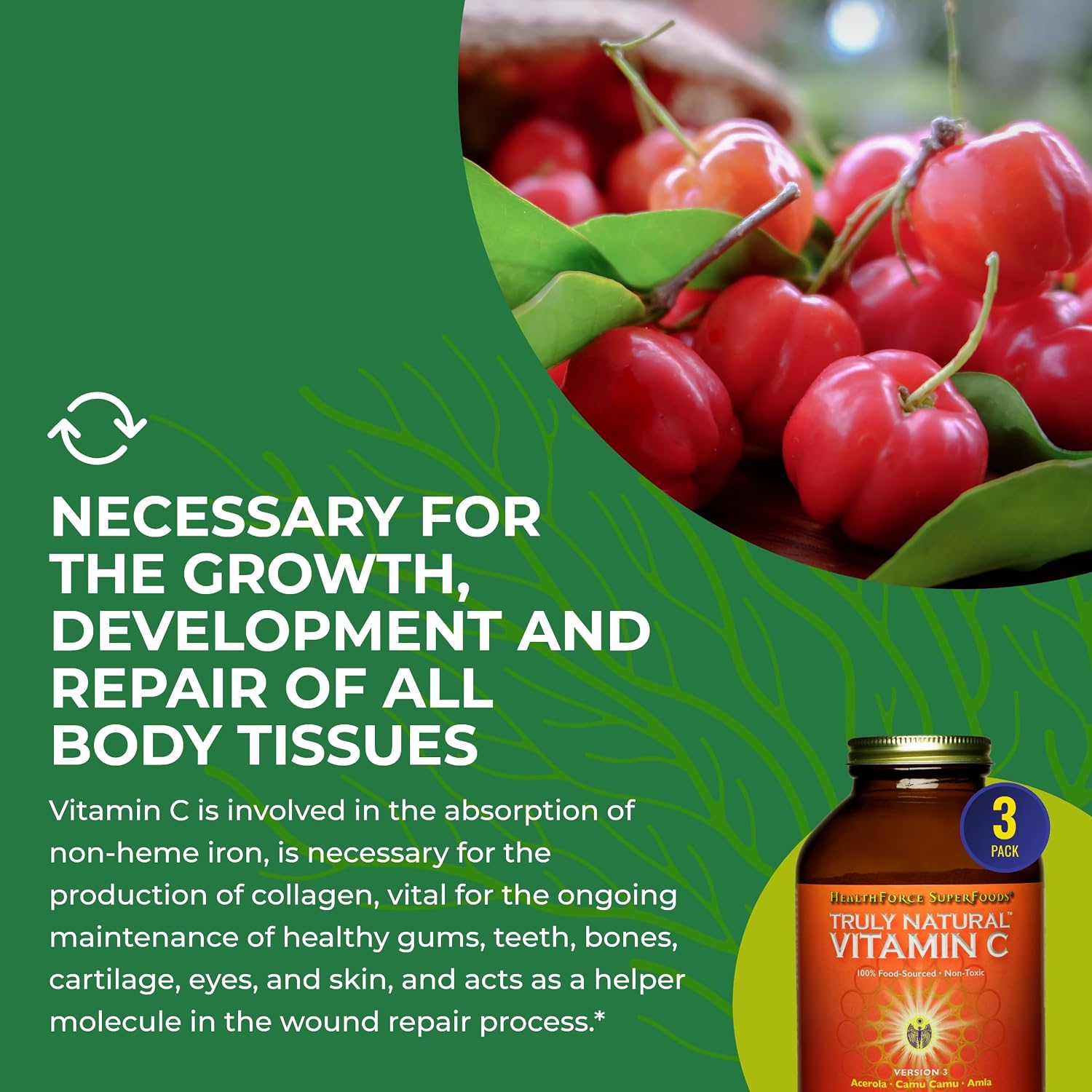 HEALTHFORCE SUPERFOODS Truly Natural Vitamin C – 400 g – Polvo de vitamina C natural con Camu Camu, Amla y Acerola