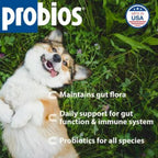 Probios Probiótico Digestivo para Perros 240g
