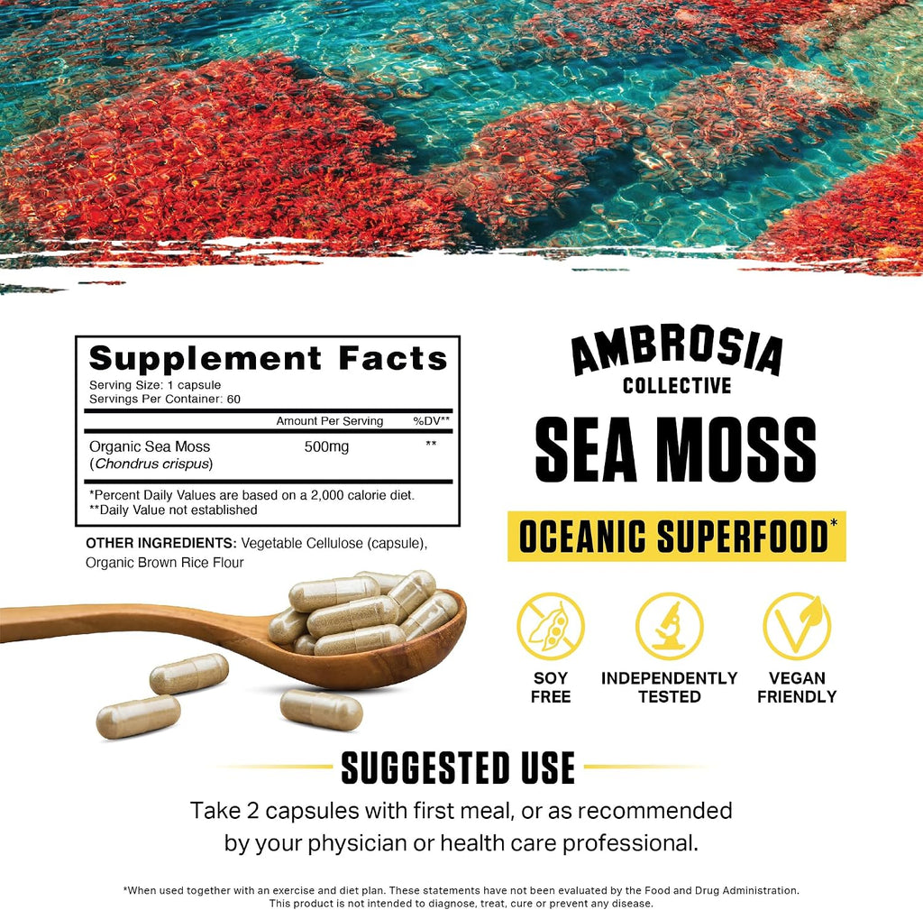 Ambrosia Organic Irish Sea Moss Capsules | 500mg | 120 Cápsulas Veganas
