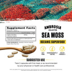 Ambrosia Organic Irish Sea Moss Capsules | 500mg | 120 Cápsulas Veganas