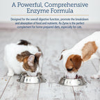 Rx Vitamins Rx Zyme Powder - Enzimas Digestivas para Perros y Gatos - 120g