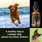 Buster's Aceite de Semilla de Cáñamo Prensado en Frío para Perros y Gatos con Melatonina - Gotas Calmantes - Pack de 2