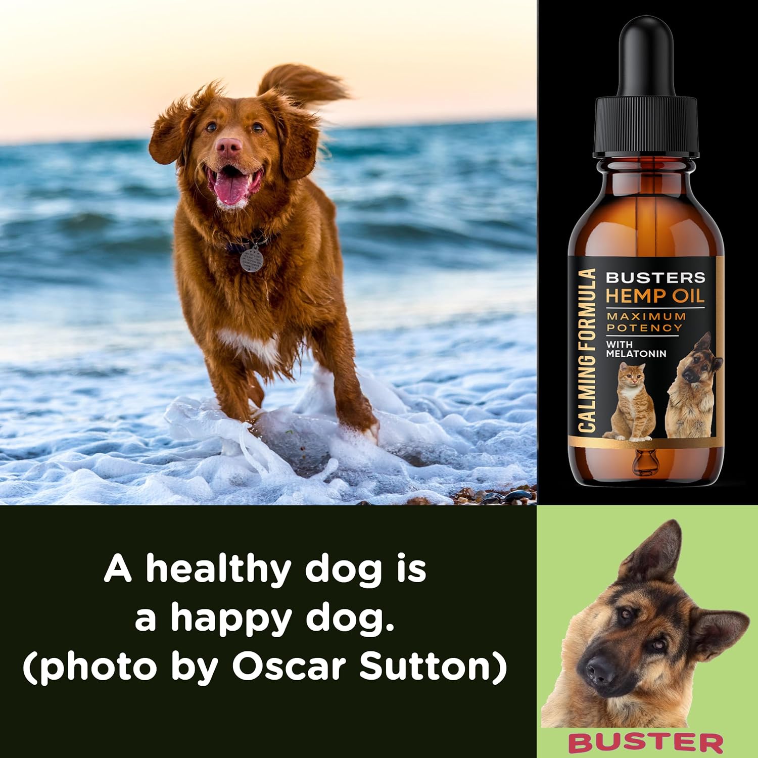 Buster's Aceite de Semilla de Cáñamo Prensado en Frío para Perros y Gatos con Melatonina - Gotas Calmantes - Pack de 2