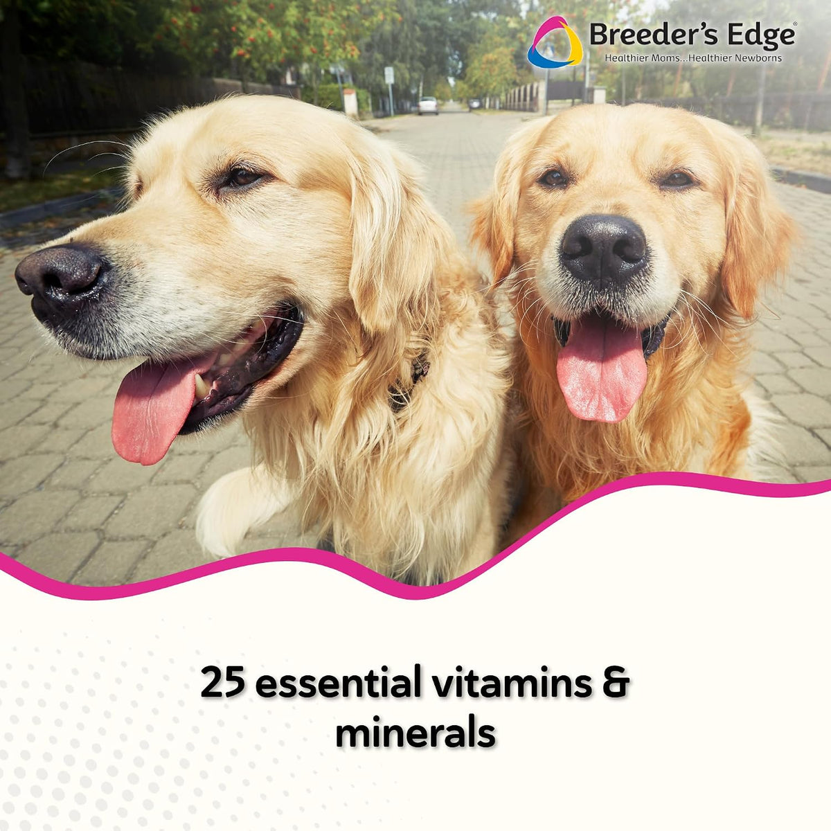 Breeder's Edge Breed to Wean, Multivitamínico Prenatal y Postnatal para Perros y Gatos, 100 Comprimidos – Image 2
