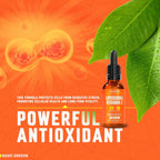 BASIC GREENS Vitamina C Liposomal Líquida 6000mg – Alta Absorción – Apoyo Inmunitario, Antioxidante y Salud de la Piel – No-GMO, Vegano, Fórmula Suave – 60 ml
