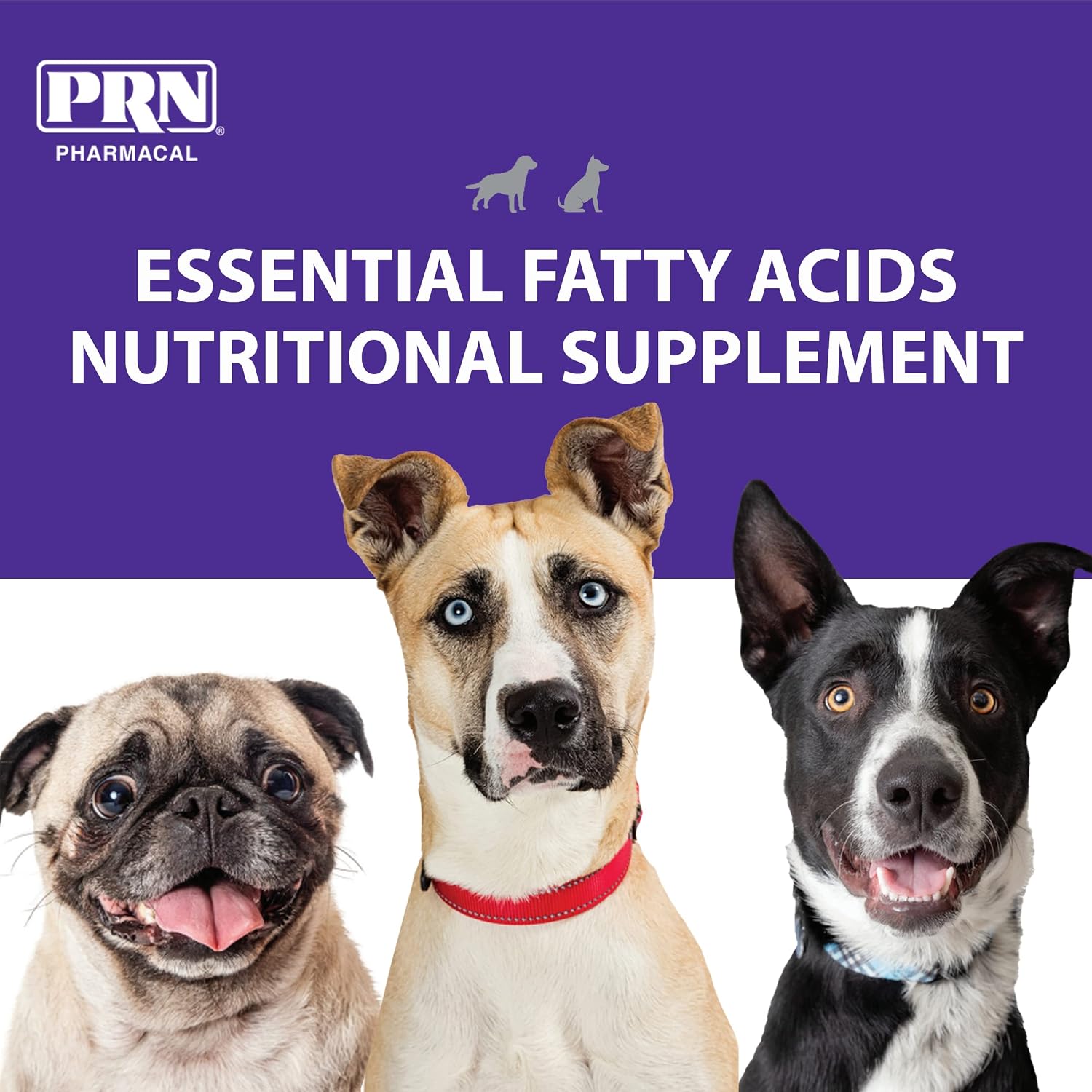 PRN Pharmacal OPTIMA 365 - Essential Fatty Acid Nutritional Supplement for Dogs and Cats - With Omega-3, Omega-6, Omega-9, and Other Vitamins and Minerals to Support Overall Pet Health - 473 ml