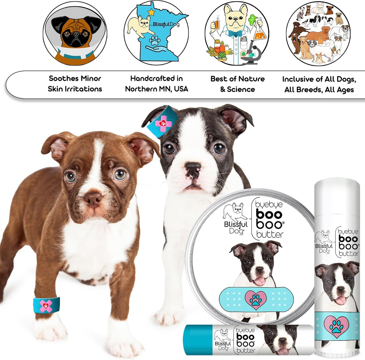 The Blissful Dog 8 oz TIN Boston Terrier – Aceite de coco : antibacteriano natural. – Image 6