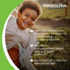 NaturesPlus Animal Parade Vitamina C Masticable para Niños - Sabor Natural a Naranja - 90 Comprimidos con Forma de Animal, Pack de 4 - Vegano, Vegetariano, Sin Gluten - 180 Dosis