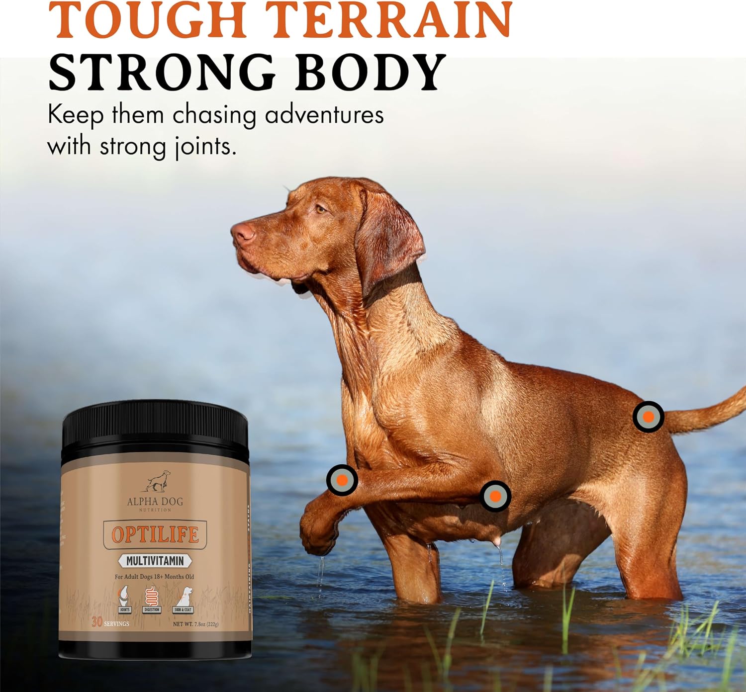 OptiLife Multivitamínico en Polvo para Perros - con Probióticos, Glucosamina, para Apoyo Articular y Digestivo (60 dosis)