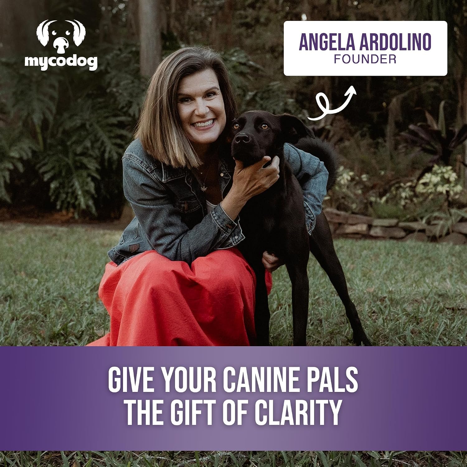MycoDog Clarity - Complemento para la función cognitiva en perros mayores