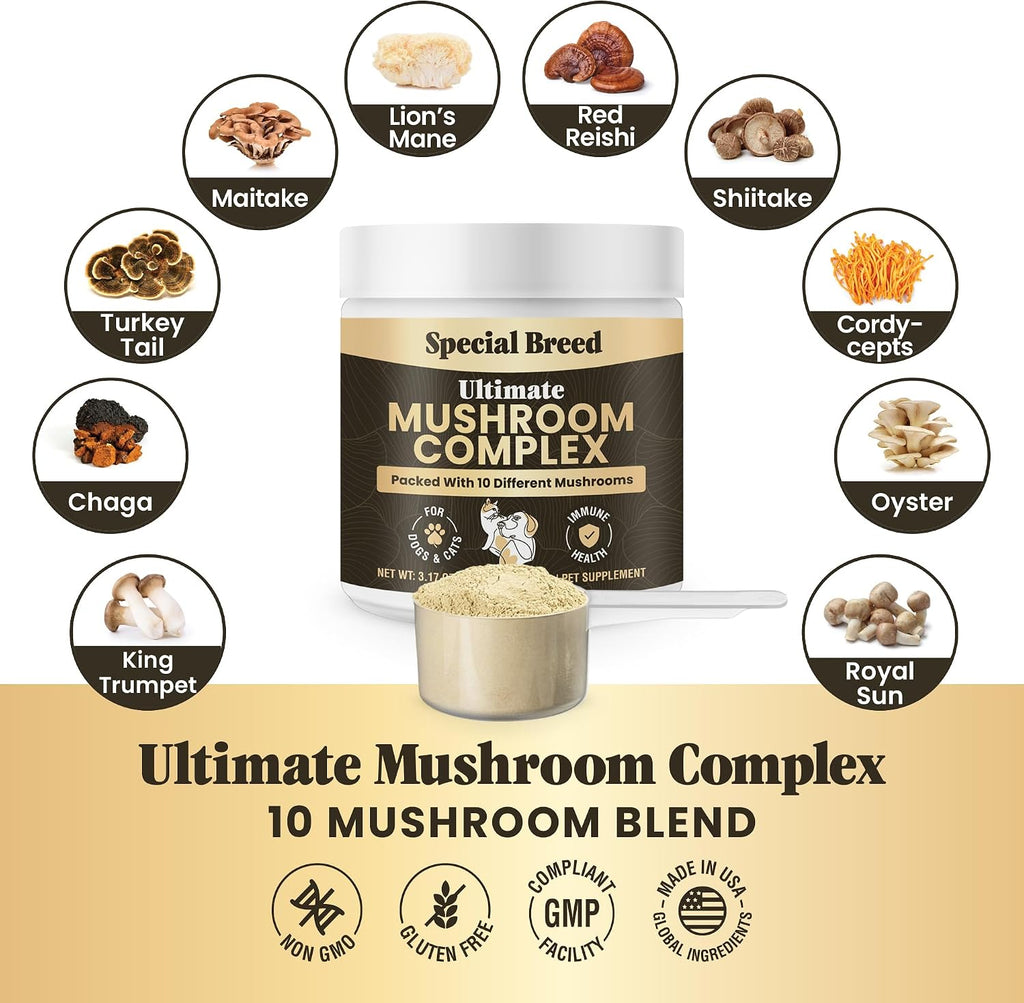 Mushroom Powder for Dogs & Cats - Organic Mushroom Complex for Immune Support, Cognition, Vitality - Ten Mushroom Supplement with Turkey Tail, Lion's Mane, Reishi - 180 Scoops