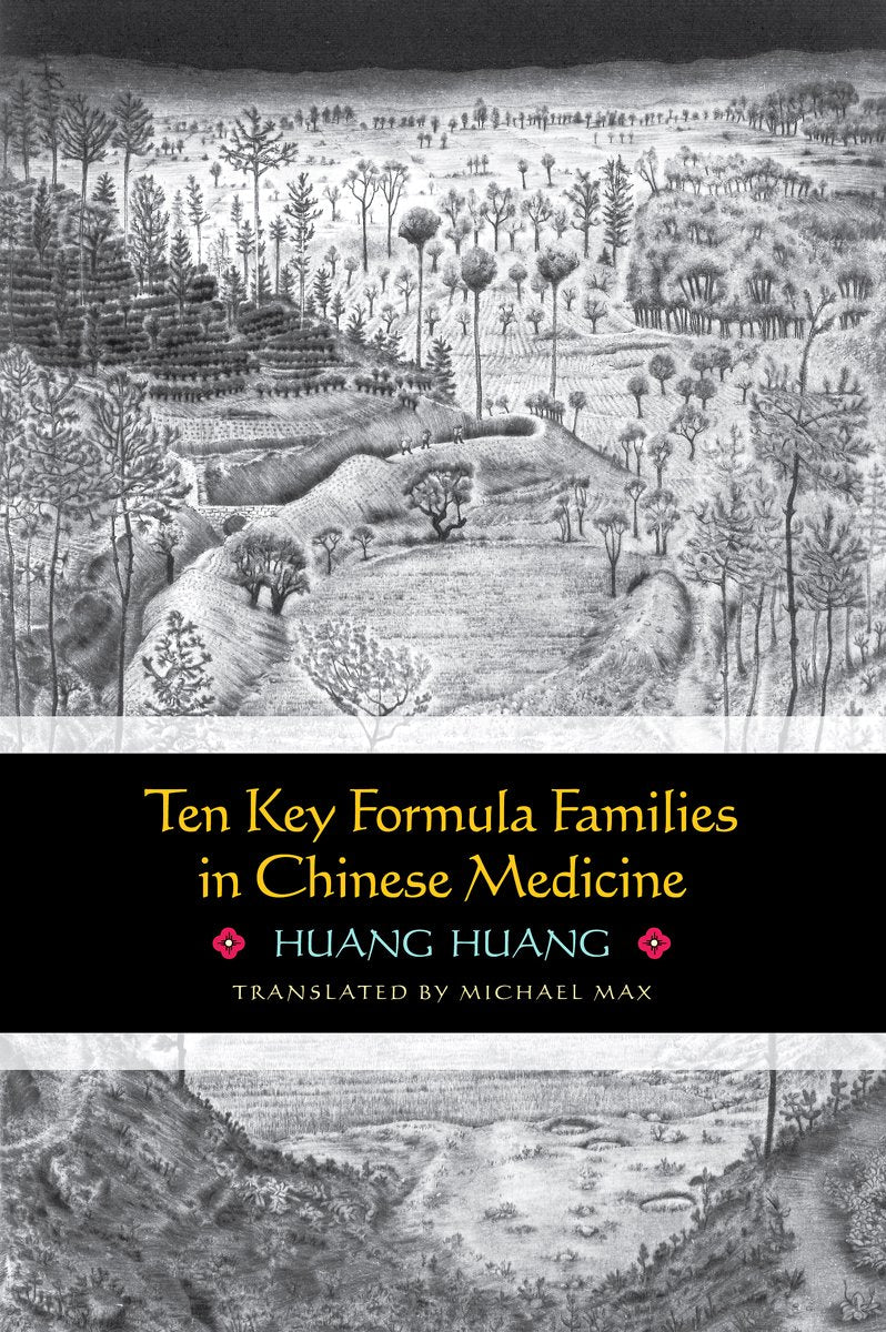 Diez Familias de Fórmulas Clave en la Medicina China