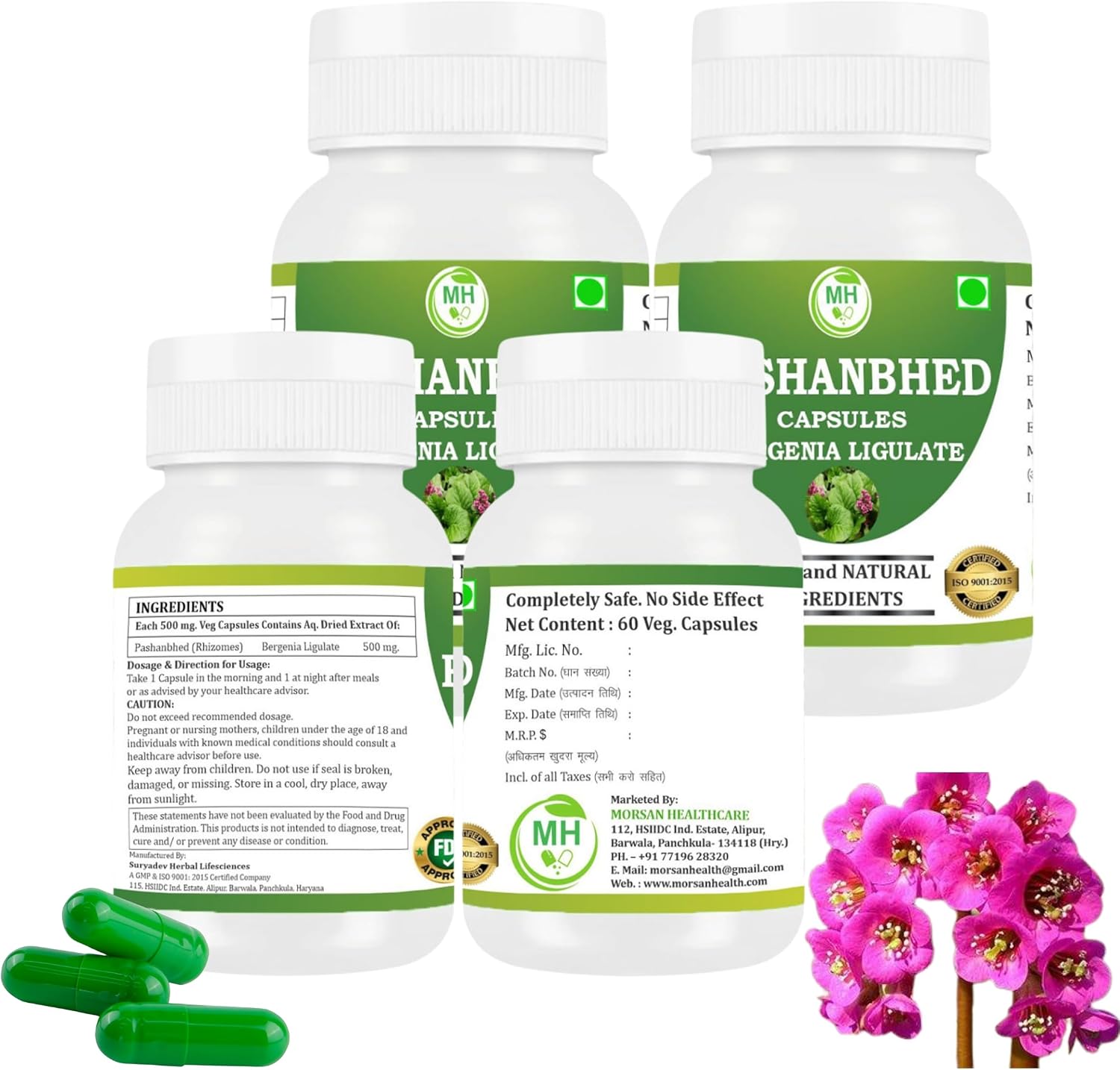 Pashanabheda (Bergenia ligulata) en Cápsulas - Suplemento Ayurvédico 100% Puro, 500 mg, 240 Cápsulas Vegetales