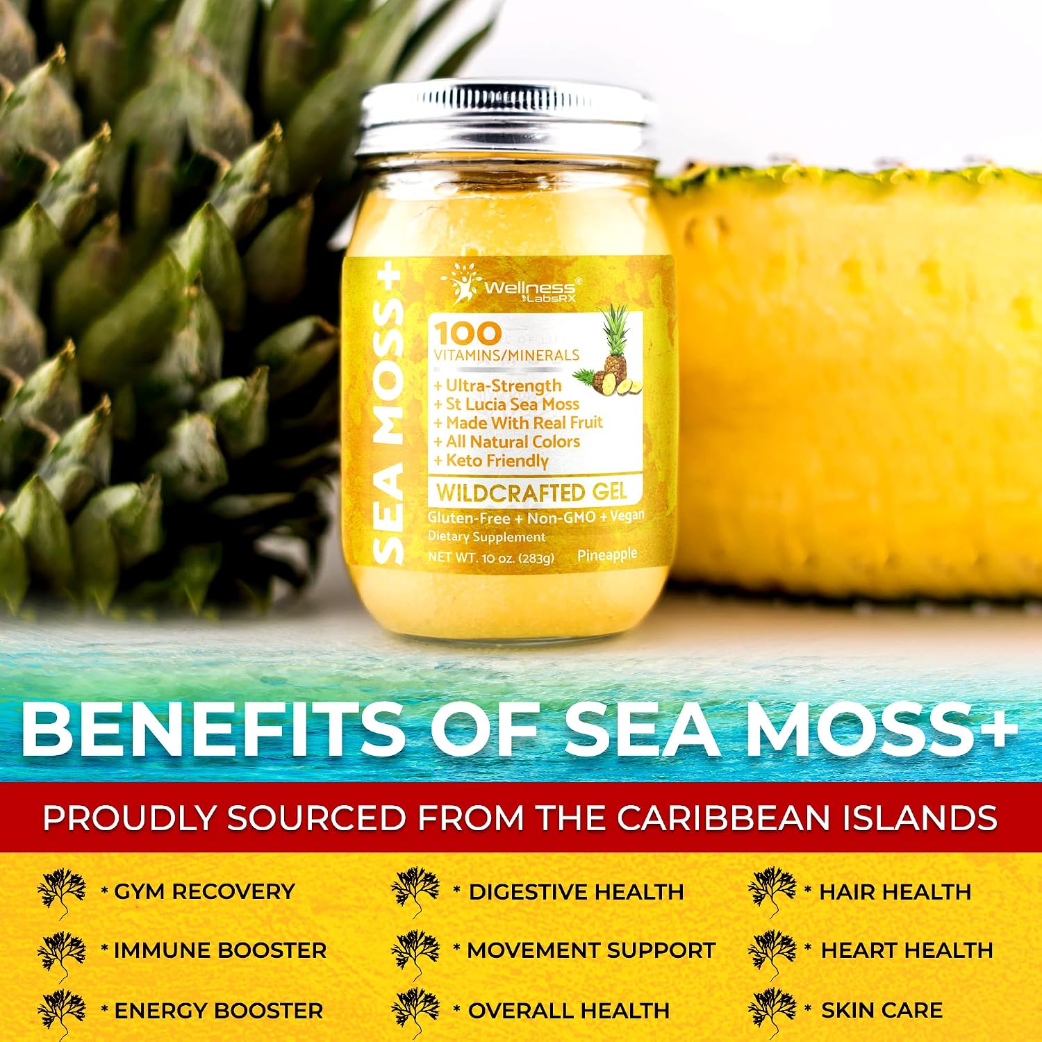 WELLNESS LABSRX Irish Sea Moss Gel Raw - Wildcrafted Superfood Seamoss Gel - Sabor Piña - 10 oz (283 g)
