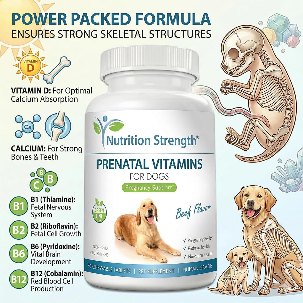 Nutrition Strength Vitaminas Prenatales para Perros - 90 Comprimidos Masticables