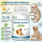 Nutrition Strength Vitaminas Prenatales para Perros - 90 Comprimidos Masticables