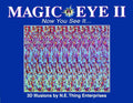 Magic Eye, Vol. 2 (Tapa dura)