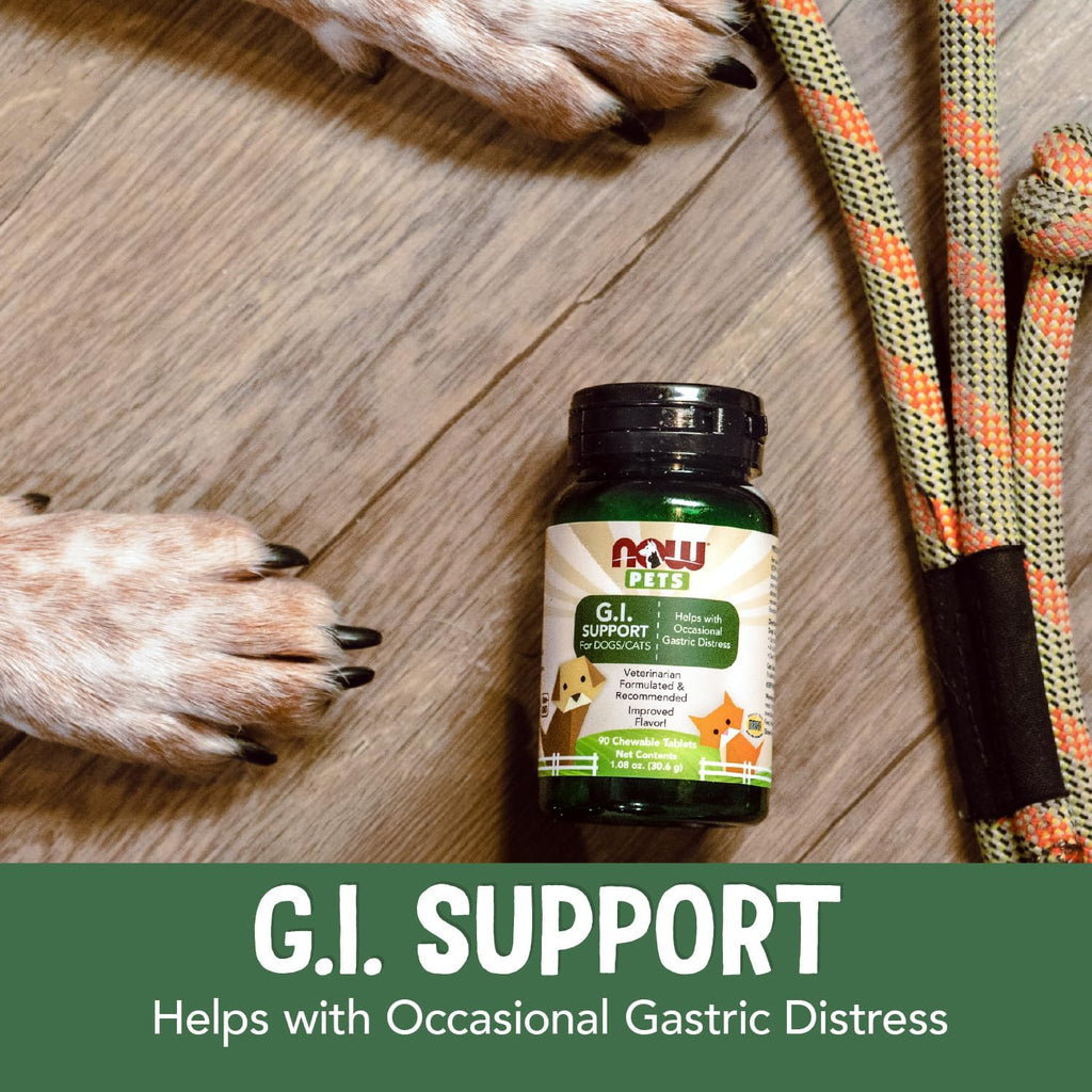 NOW Pet Health GI Support - Suplemento Digestivo para Perros y Gatos - 90 Comprimidos Masticables