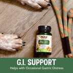 NOW Pet Health GI Support - Suplemento Digestivo para Perros y Gatos - 90 Comprimidos Masticables