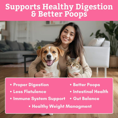 Wholistic Pet Organics Probióticos Diarios – Digestión saludable: Las enzimas digestivas ayudan a descomponer – Image 4