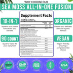 Adndale Sea Moss Capsules - Mezcla de 18 Ingredientes con Ashwagandha y Cúrcuma - 180 Cápsulas