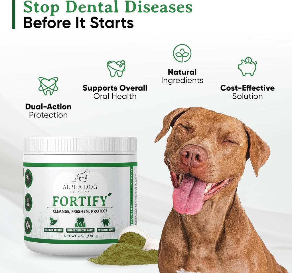Fortify Dental Powder - Polvo dental para perros con algas y probióticos