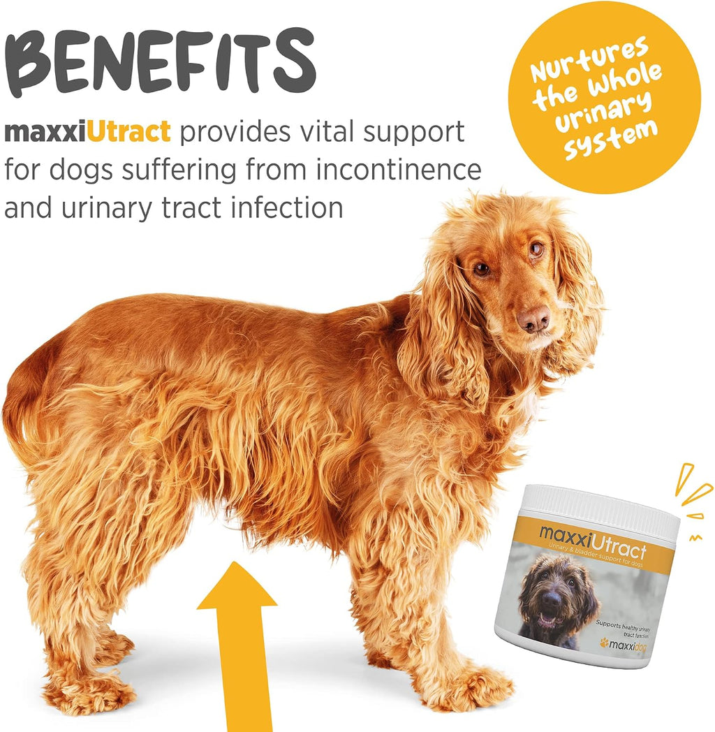 maxxiUtract Apoyo Urinario y Vesical para Perros - Suplemento Natural en Polvo con D-Manosa y Arándano - 150 g