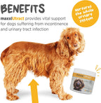 maxxiUtract Apoyo Urinario y Vesical para Perros - Suplemento Natural en Polvo con D-Manosa y Arándano - 150 g