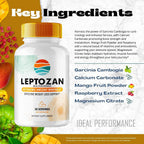 IDEAL PERFORMANCE Leptozan Capsules, Suplemento Oficial Leptozan, Mezcla Premium para Alcanzar tus Objetivos de Fitness y Salud General, Fórmula 100% Natural (60 Cápsulas)